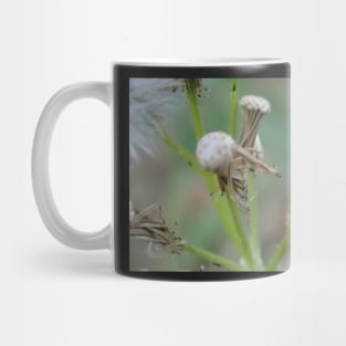 weeds Mug